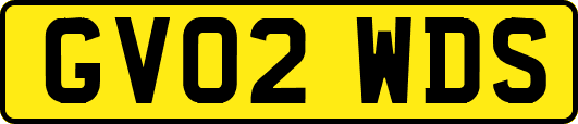 GV02WDS
