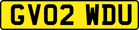 GV02WDU