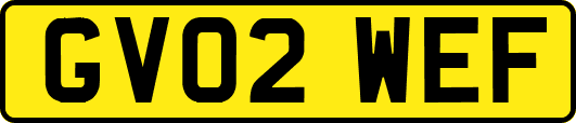 GV02WEF
