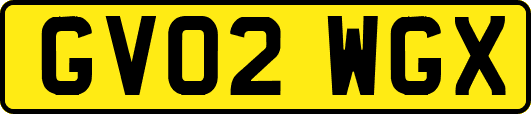 GV02WGX