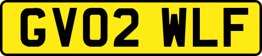 GV02WLF