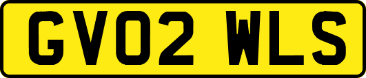 GV02WLS