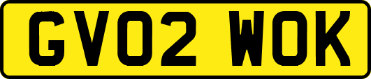 GV02WOK