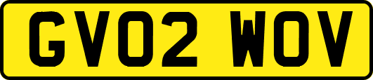GV02WOV