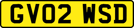 GV02WSD