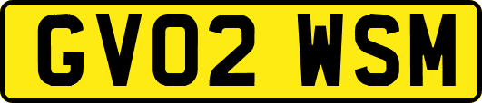 GV02WSM