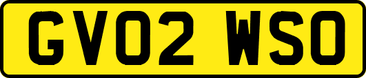 GV02WSO