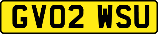 GV02WSU