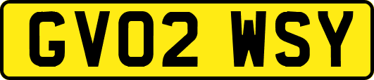 GV02WSY