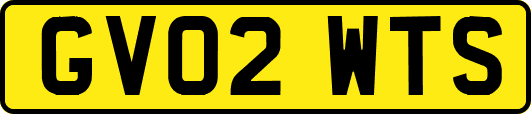 GV02WTS
