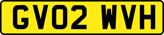 GV02WVH