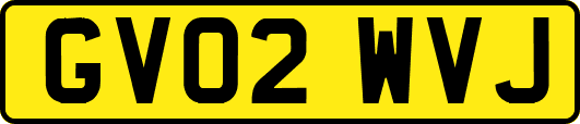 GV02WVJ