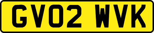 GV02WVK