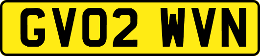 GV02WVN