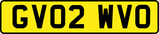 GV02WVO