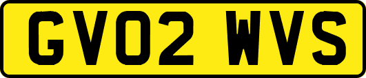 GV02WVS