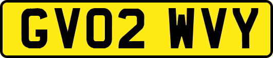 GV02WVY