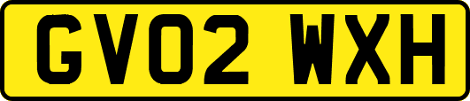 GV02WXH