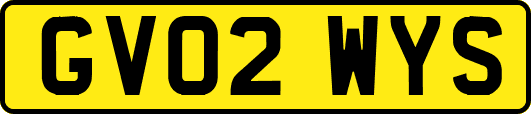 GV02WYS