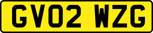 GV02WZG