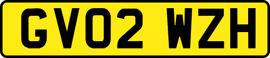 GV02WZH