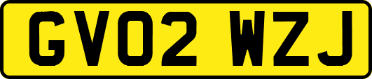 GV02WZJ