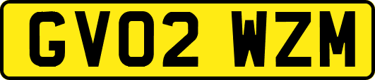 GV02WZM