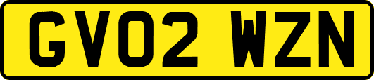 GV02WZN