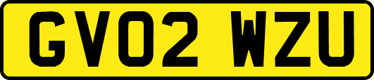 GV02WZU
