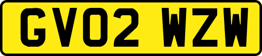 GV02WZW