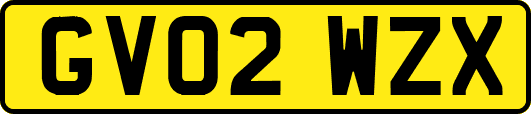 GV02WZX