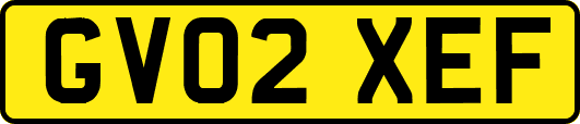 GV02XEF