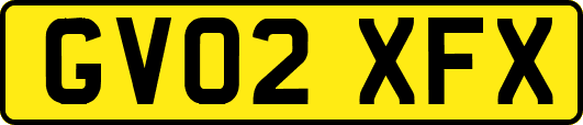 GV02XFX