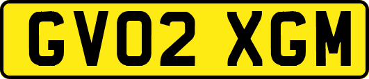GV02XGM