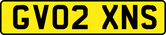GV02XNS