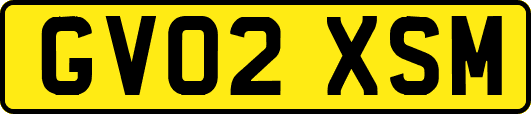 GV02XSM