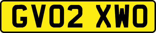 GV02XWO