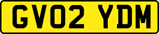 GV02YDM