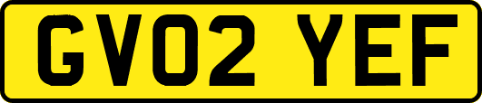 GV02YEF