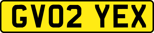 GV02YEX