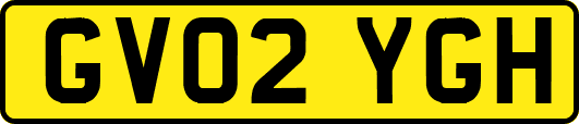 GV02YGH