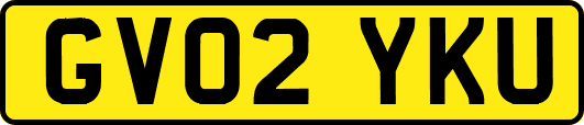 GV02YKU