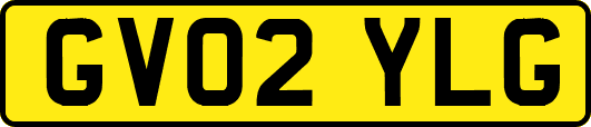 GV02YLG