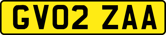 GV02ZAA
