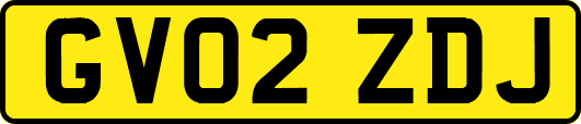 GV02ZDJ