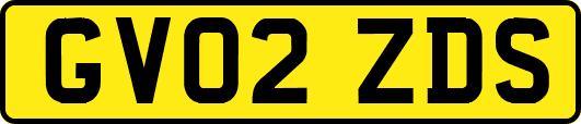 GV02ZDS