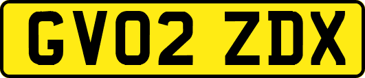 GV02ZDX