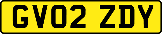 GV02ZDY