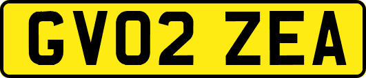 GV02ZEA