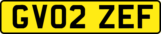 GV02ZEF